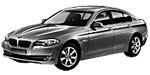 BMW F10 C20D2 Fault Code